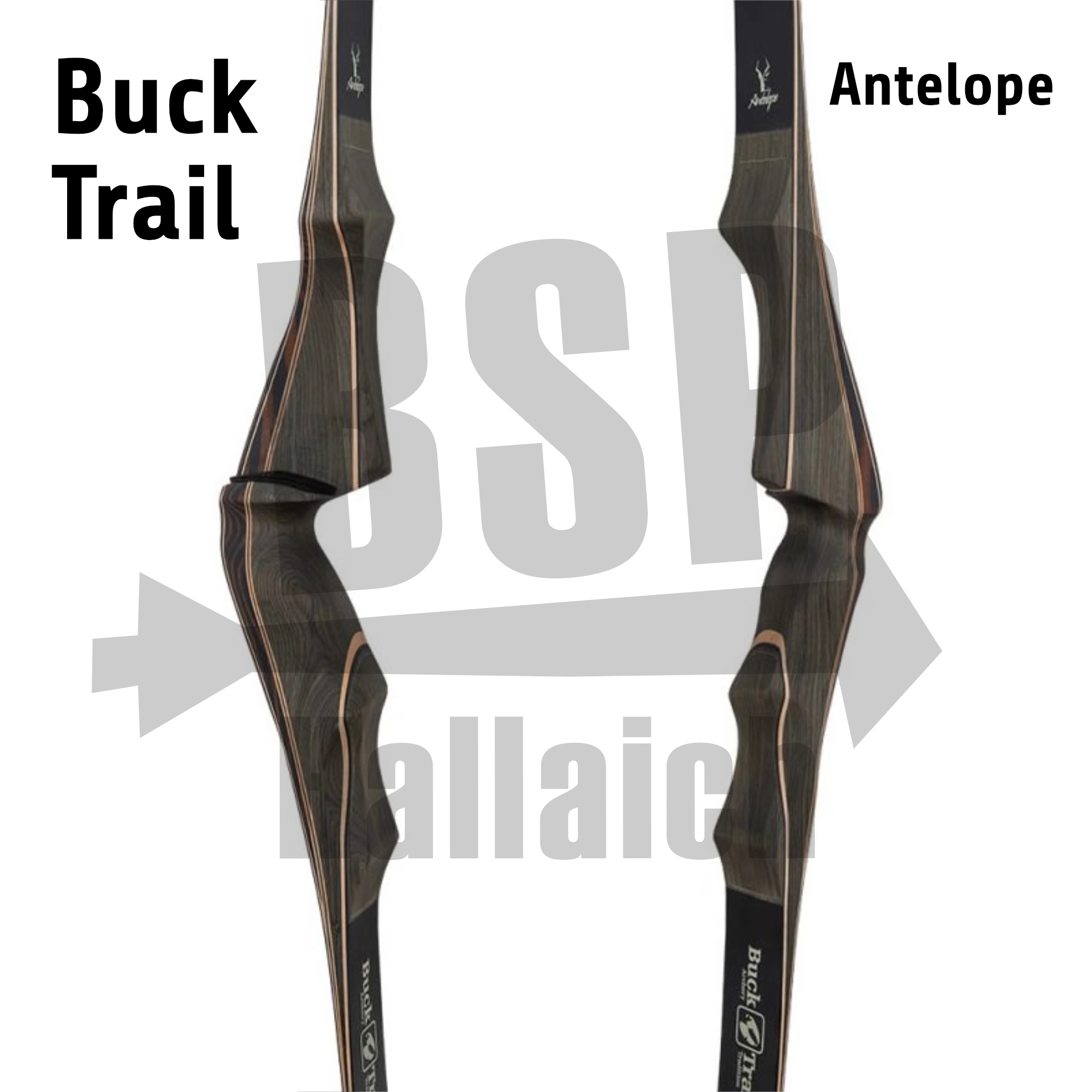 Bucktrail Antelope