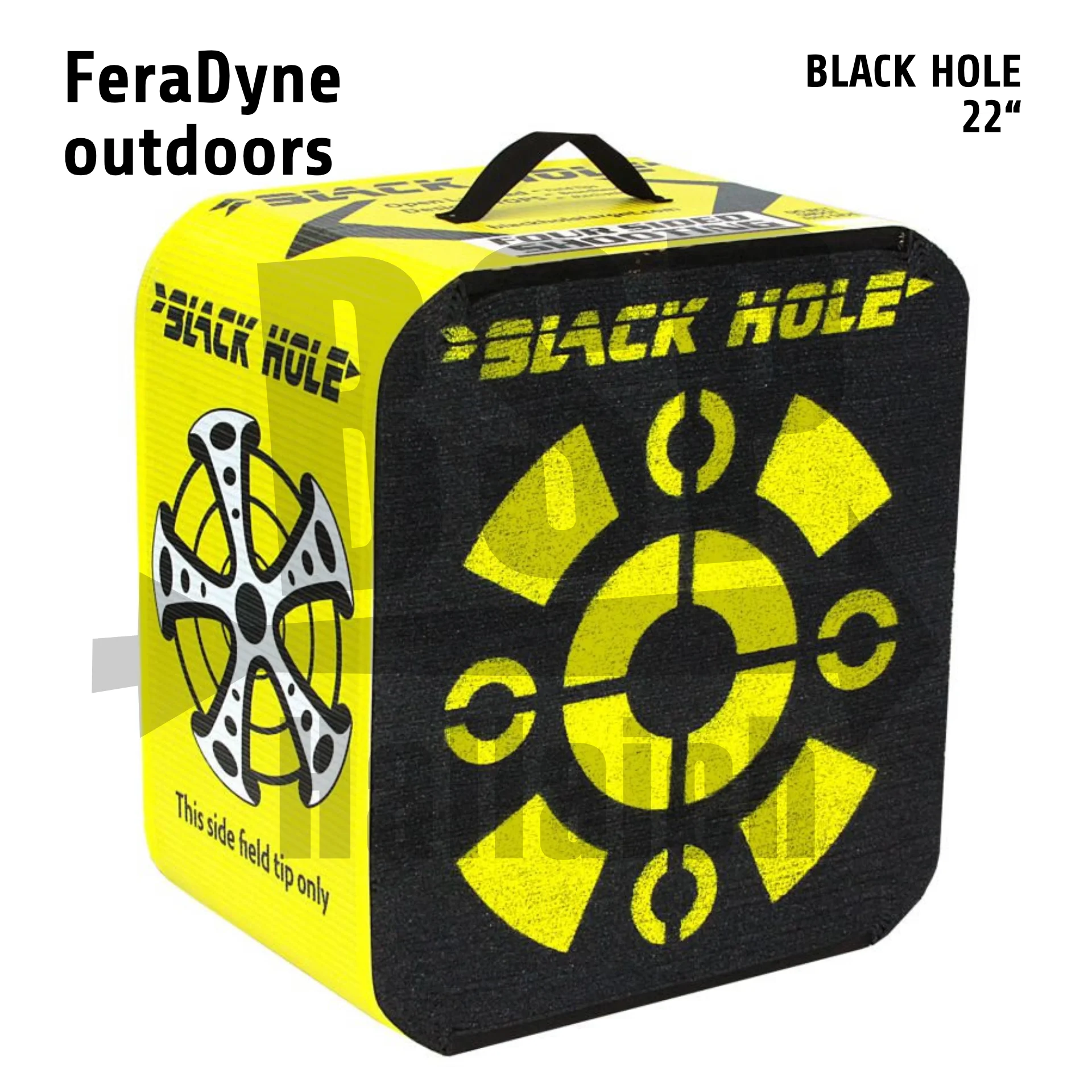 Black Hole Target 22"