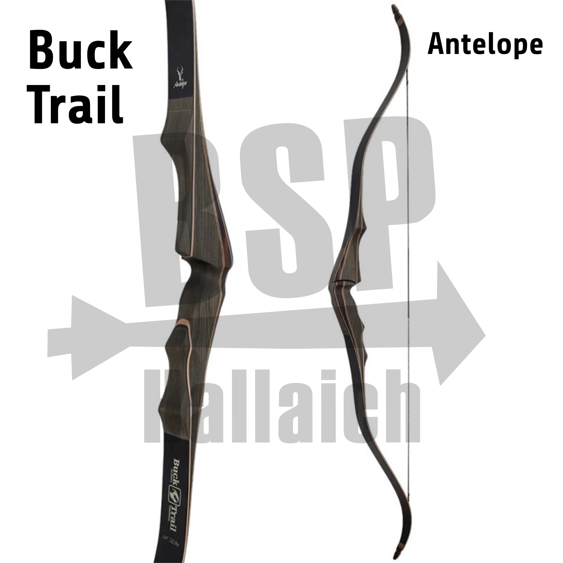 Bucktrail Antelope