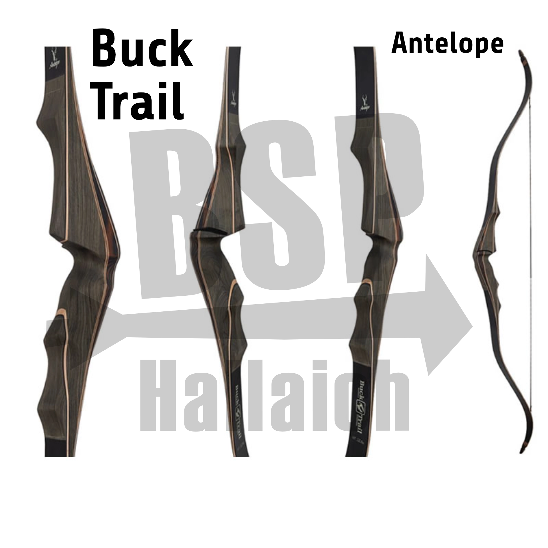 Bucktrail Antelope