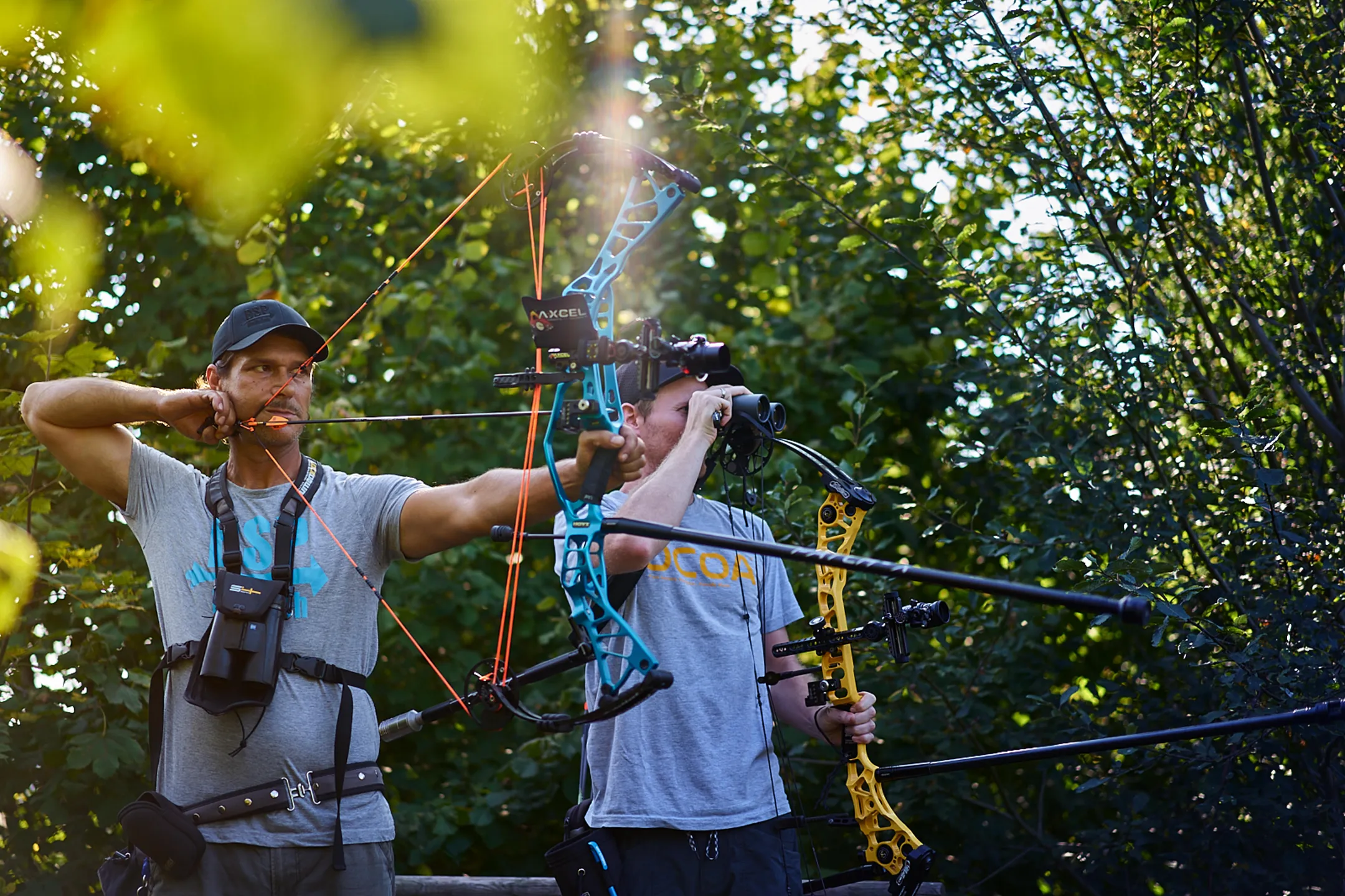 Mit Compoundbogen im Parcours